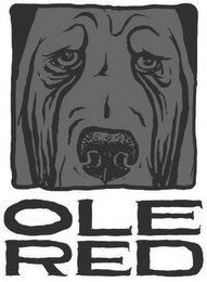 OLE RED logo