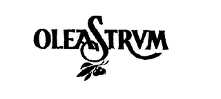 OLEASTRUM logo