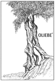 OLIEBE logo