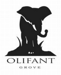 OLIFANT GROVE logo