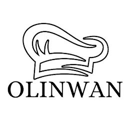 OLINWAN logo