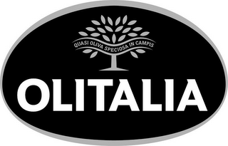 OLITALIA QUASI OLIVA SPECIOSA IN CAMPIS logo