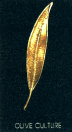OLIVE CULTURE logo