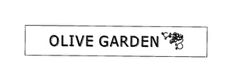OLIVE GARDEN logo