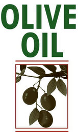 OLIVE OIL logo