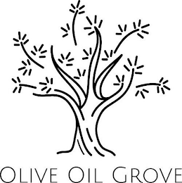 OLIVE OIL GROVE logo