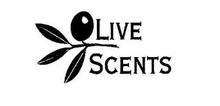 OLIVE SCENTS logo