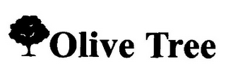 OLIVE TREE logo