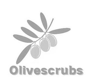 OLIVESCRUBS logo