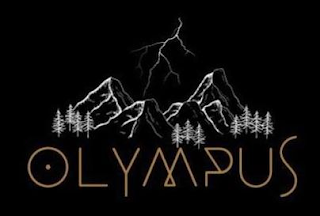 OLYMPUS logo