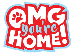 OMG YOU'RE HOME! logo