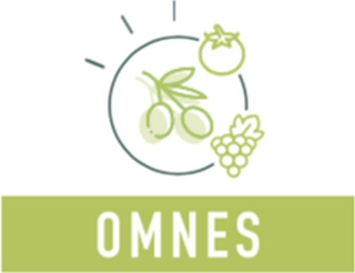 OMNES logo