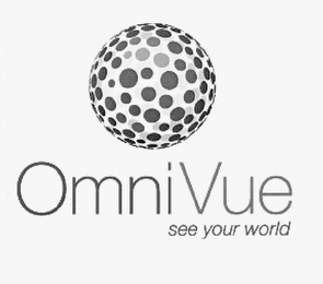 OMNIVUE SEE YOUR WORLD logo