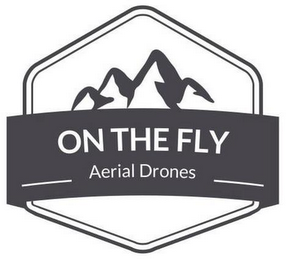 ON THE FLY AERIAL DRONES logo
