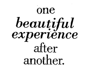 ONE BEAUTIFUL EXPERIENCE AFTER ANOTHER. logo