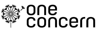 ONE CONCERN logo