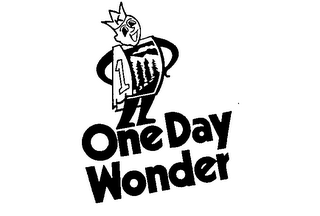 ONE DAY WONDER logo