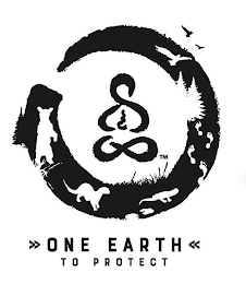 ONE EARTH TO PROTECT logo