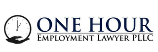 ONE HOUR EMPLOYMENT LAWYER PLLC logo