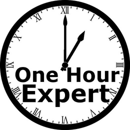 ONE HOUR EXPERT logo