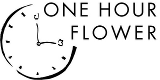 ONE HOUR FLOWER logo