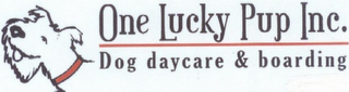 ONE LUCKY PUP INC. DOG DAYCARE & BOARDING logo