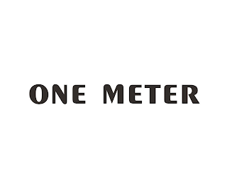 ONE METER logo