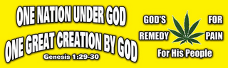 ONE NATION UNDER GOD ONE GREAT CREATION BY GOD GENESIS 1:29-30 GOD'S REMEDY FOR PAIN FOR HIS PEOPLE logo