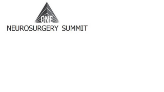 ONE NEUROSURGERY SUMMIT logo