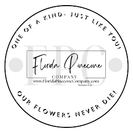 ONE OF A KIND - JUST LIKE YOU! FPC FLORIDA PINECONE COMPANY WWW.FLORIDAPINECONECOMPANY.COM ROMANS 8:39 OUR FLOWERS NEVER DIE! logo
