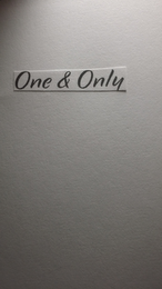 ONE & ONLY logo
