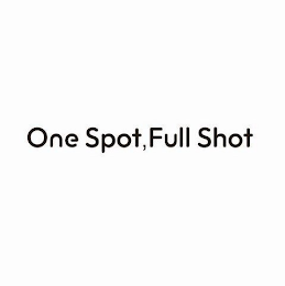 ONE SPOT,FULL SHOT logo