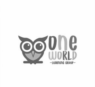 ONE WORLD LEARNING GROUP logo