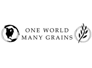 ONE WORLD MANY GRAINS logo