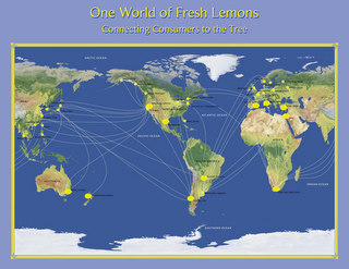 ONE WORLD OF FRESH LEMONS CONNECTING CONSUMERS TO THE TREE" AND "ARCTIC OCEAN, PACIFIC OCEAN, ATLANTIC OCEAN, SOUTHERN OCEAN, INDIAN OCEAN, ASIA, AUSTRALIA, NORTH AMERICA, SOUTH AMERICA, AFRICA, EUROPE, SENDAI, JAPAN, SEOUL, KOREA, TOKYO, JAPAN, SHANGHAI, CHINA, HONG KONG, CHINA, TAIWAN, MANILA, PHILIPPINES, BANGKOK, THAILAND, SIDNEY, AUSTRALIA, AUCKLAND, NEW ZEALAND, SEWARD, ALASKA, KETCHIKAN, ALASKA, SEATTLE, WASHINGTON, SANTA PAULA, CALIFORNIA, LOS ANGELES, MONTERREY, MEXICO, CHICAGO, ILLINOIS, MONTREAL, QUEBEC, CANADA, NEW YORK, NY, WASHINGTON DC, MIAMI, FLORIDA, TUCUMAN, ARGENTINA, BUENOS AIRES, ARGENTINA, SANTIAGO, CHILE, CAPE TOWN, SOUTH AFRICA, ISRAEL, KONYA, TURKEY, NAPLES, ITALY, VALENCIA SPAIN, PARIS, FRANCE, BIRMINGHAM, UK, FRANKFURT, GERMANY, OSLO, NORWAY, STOCKHOLM, SWEDEN, WARSAW, POLAND, ST. PETERSBURG, RUSSIA, AND MOSCOW, RUSSIA logo