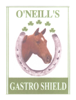 O'NEILL'S GASTRO SHIELD logo