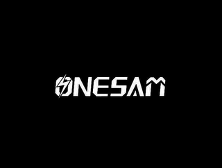 ONESAM logo