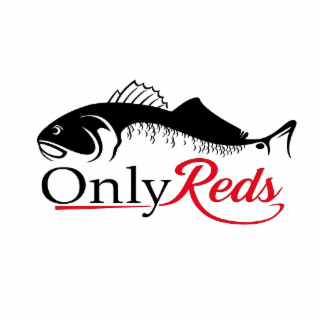 ONLY REDS logo