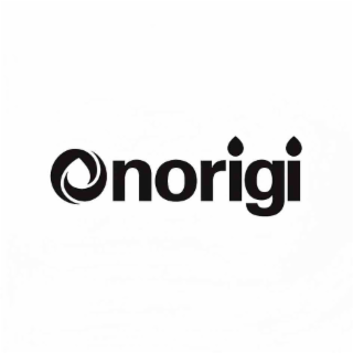 ONORIGI logo