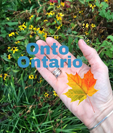 ONTO ONTARIO logo