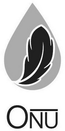 ONU logo