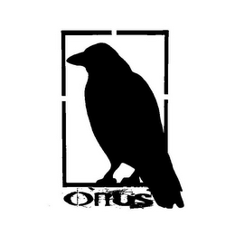 ONUS logo