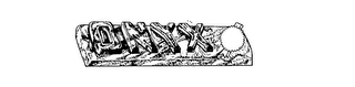 ONYX logo