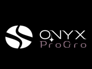ONYX PROGRO logo