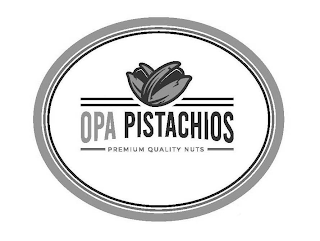 OPA PISTACHIOS PREMIUM QUALITY NUTS logo