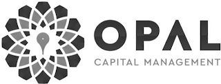 OPAL CAPITAL MANAGEMENT logo