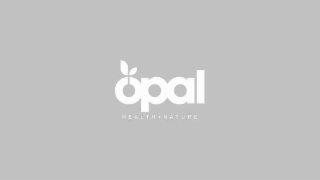OPAL HEALTH+NATURE logo