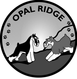 OPAL RIDGE logo