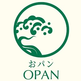 OPAN logo