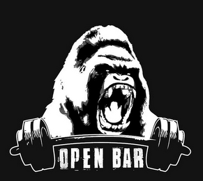 OPEN BAR logo